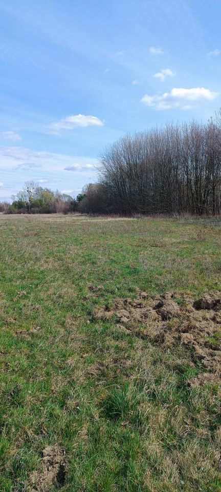 Działka inwestycyjna Żabia Wola. Zdjęcie 1