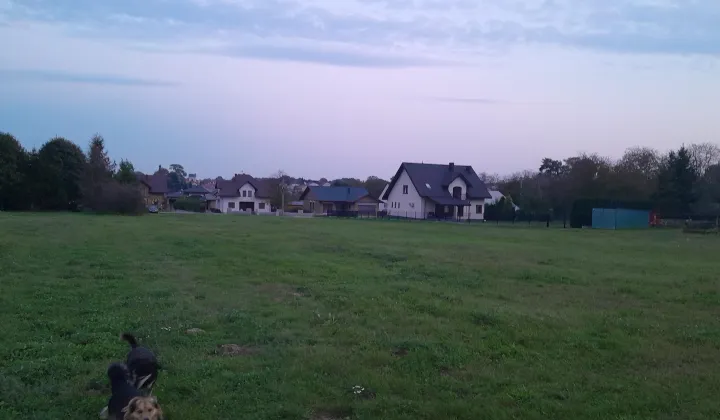 Działka budowlana Tarnogród Bukowskie, ul. Wójtostwo