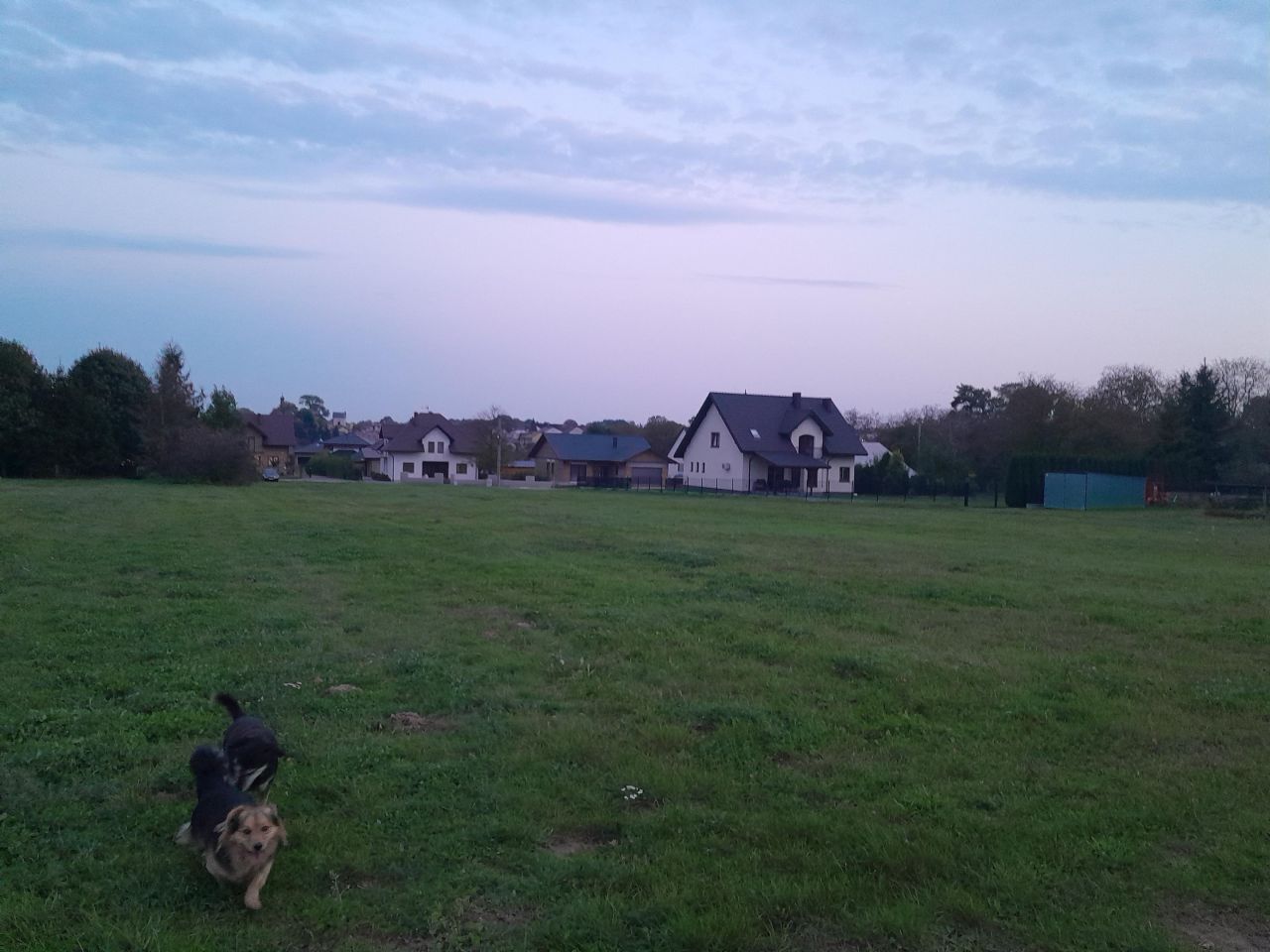 Działka budowlana Tarnogród Bukowskie, ul. Wójtostwo. Zdjęcie 1