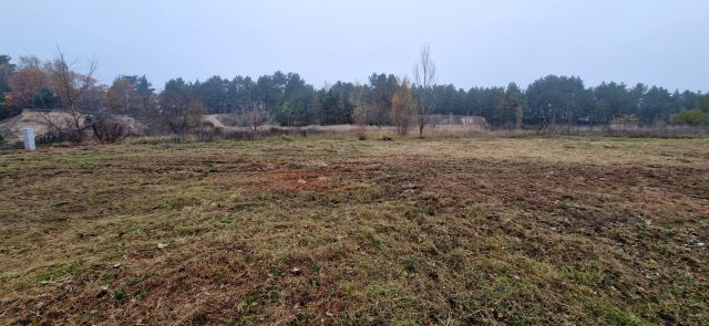 Działka budowlana Chodzież, ul. Topolowa. Zdjęcie 1