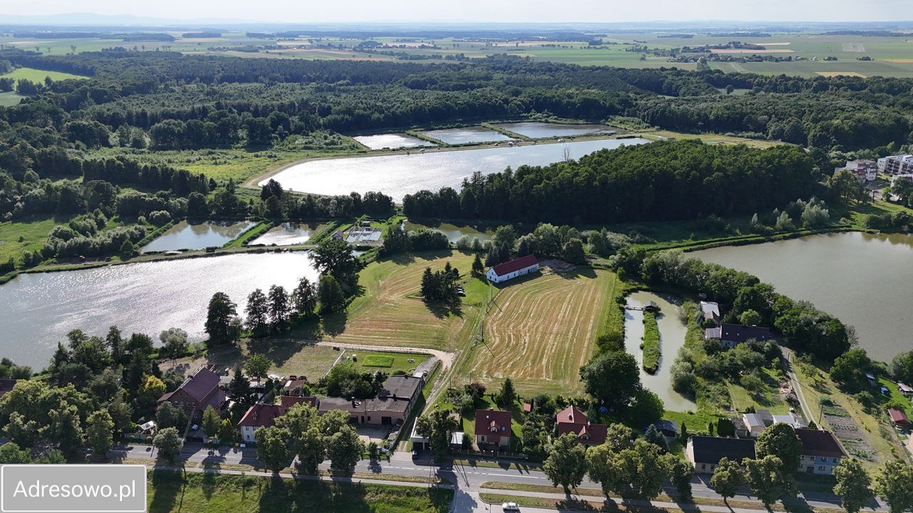 Działka budowlana Korfantów, ul. Krótka. Zdjęcie 3