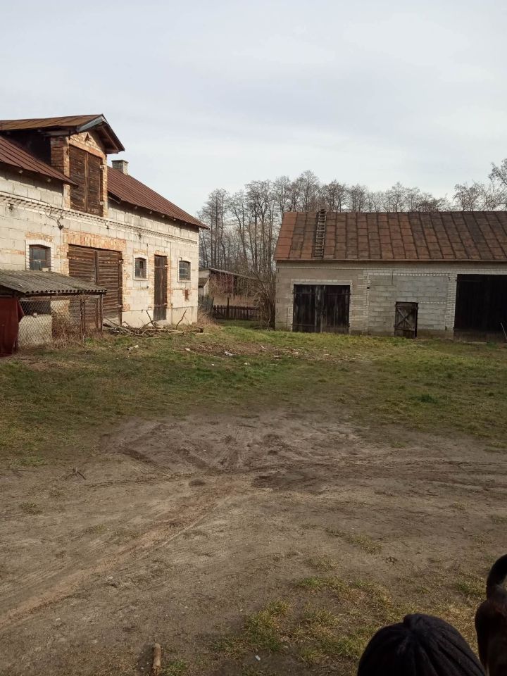 Działka siedliskowa Raszewo Dworskie. Zdjęcie 3