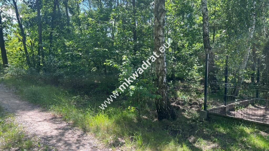 Działka budowlana Radonie. Zdjęcie 15