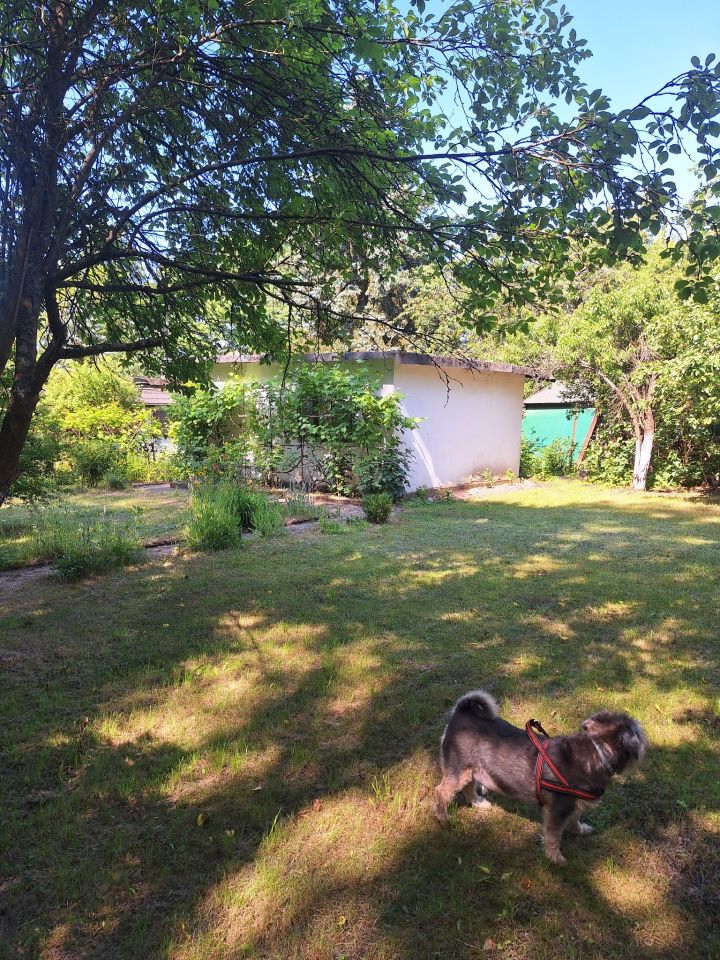 Działka rod Świdnica Łochowo, ul. Wypoczynek. Zdjęcie 5