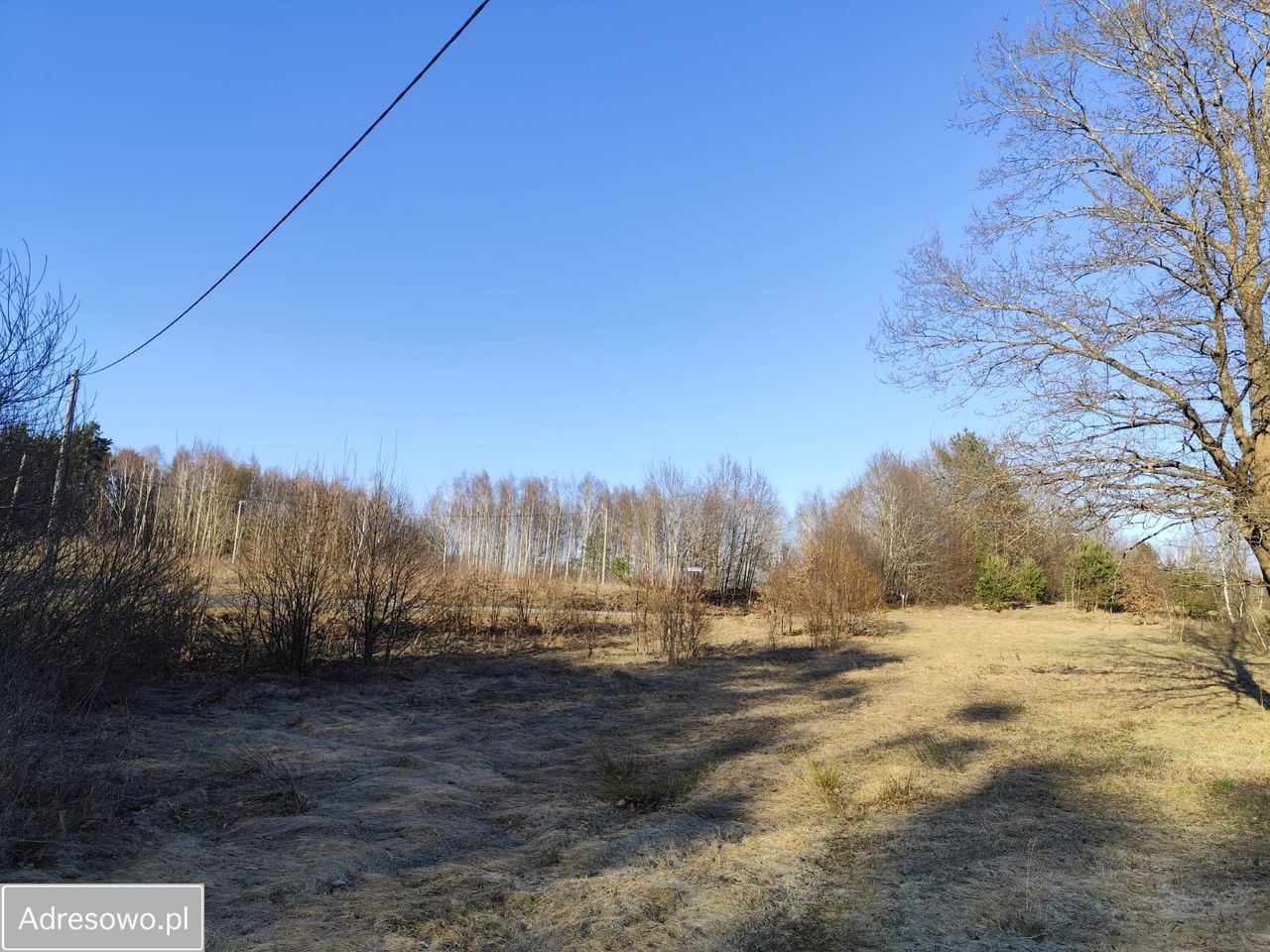 Działka rolna Ełganowo, ul. Świerkowa. Zdjęcie 2