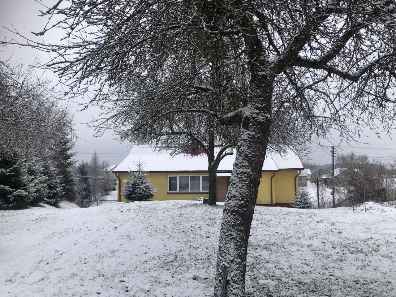 dom wolnostojący, 2 pokoje Płazów,  