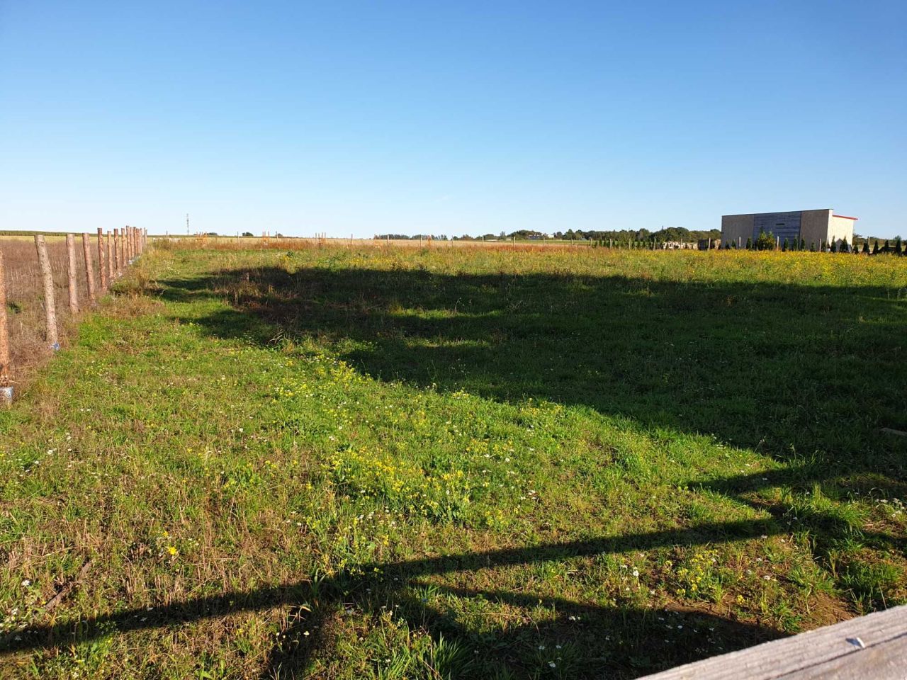 Działka rolno-budowlana Lisewo. Zdjęcie 3