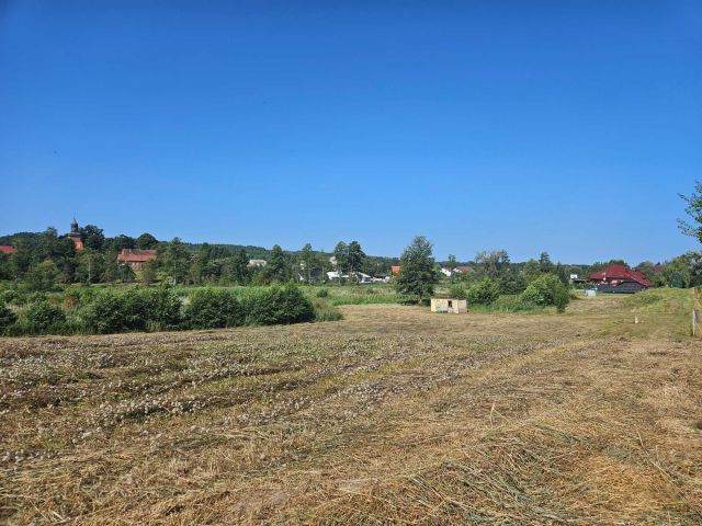 Działka rolno-budowlana Ostrów. Zdjęcie 1