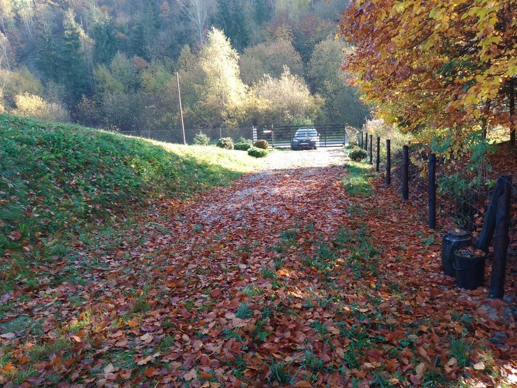Działka budowlana Cisowa. Zdjęcie 3