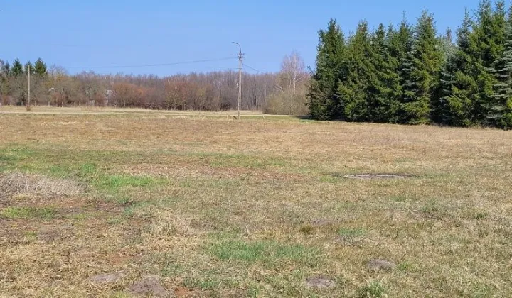 Działka rolna Śliwno