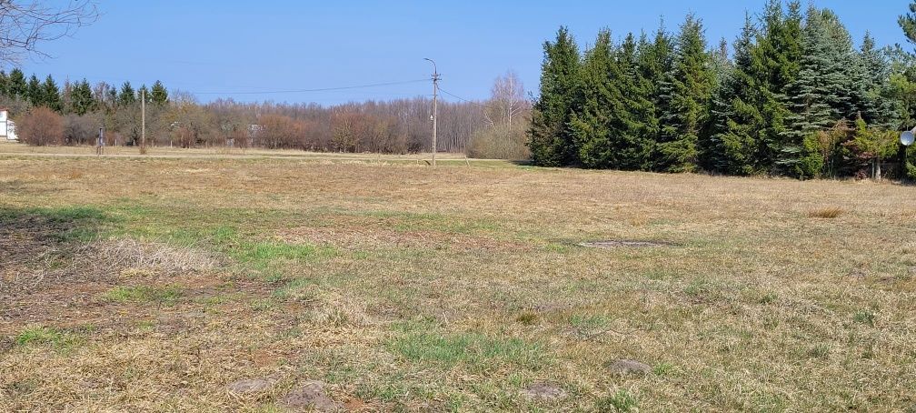 Działka rolna Śliwno. Zdjęcie 1