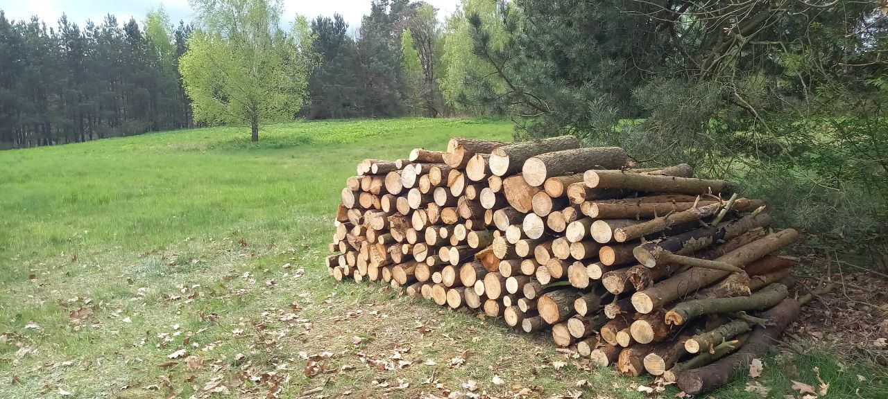 Działka rolno-budowlana Jania Góra Rudzianek. Zdjęcie 10