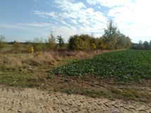 Działka budowlana Kożyno Kożyno