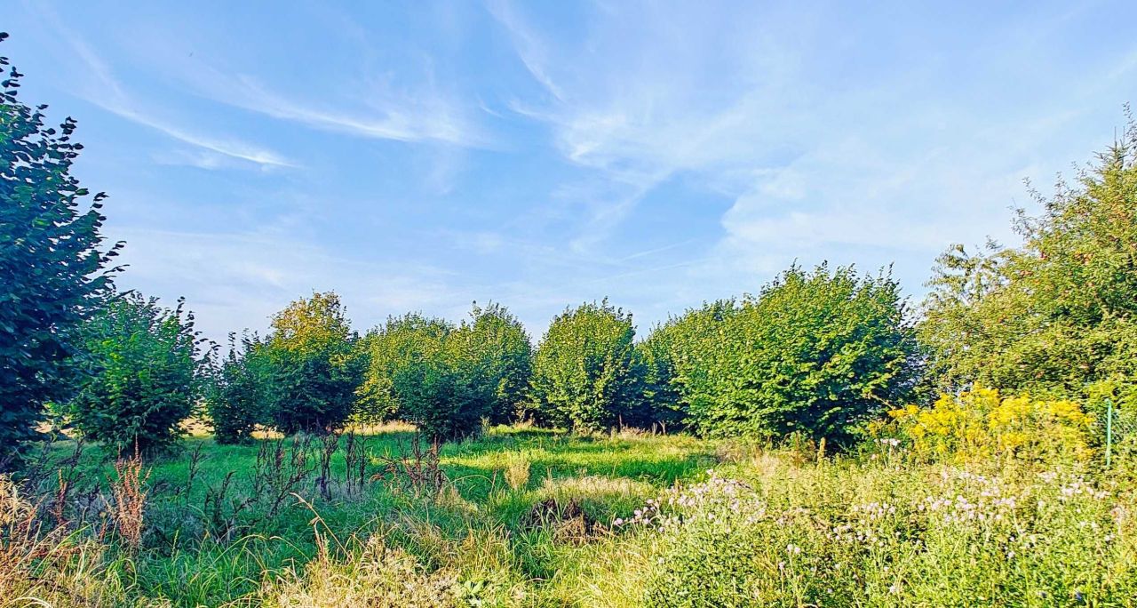 gospodarstwo Zagaje Smrokowskie. Zdjęcie 2