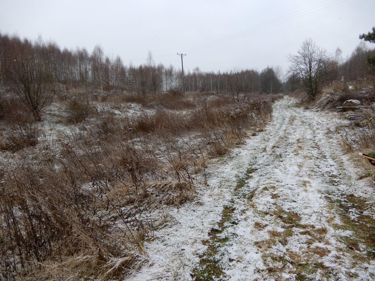 Działka rolna Pławna Dolna. Zdjęcie 2