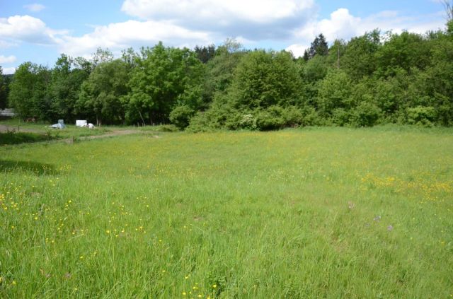 Działka budowlana Skwirtne. Zdjęcie 1