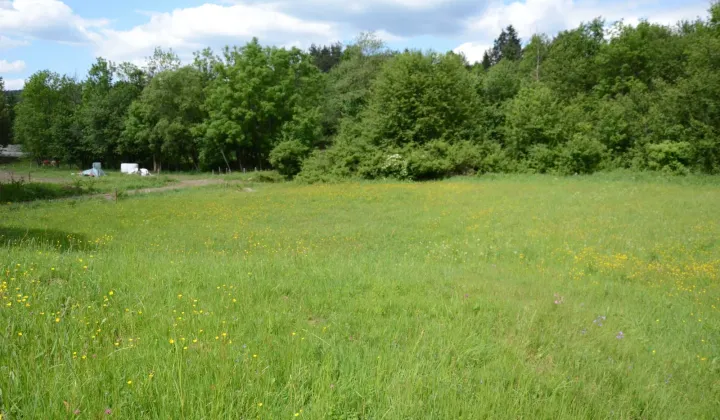 Działka budowlana Skwirtne