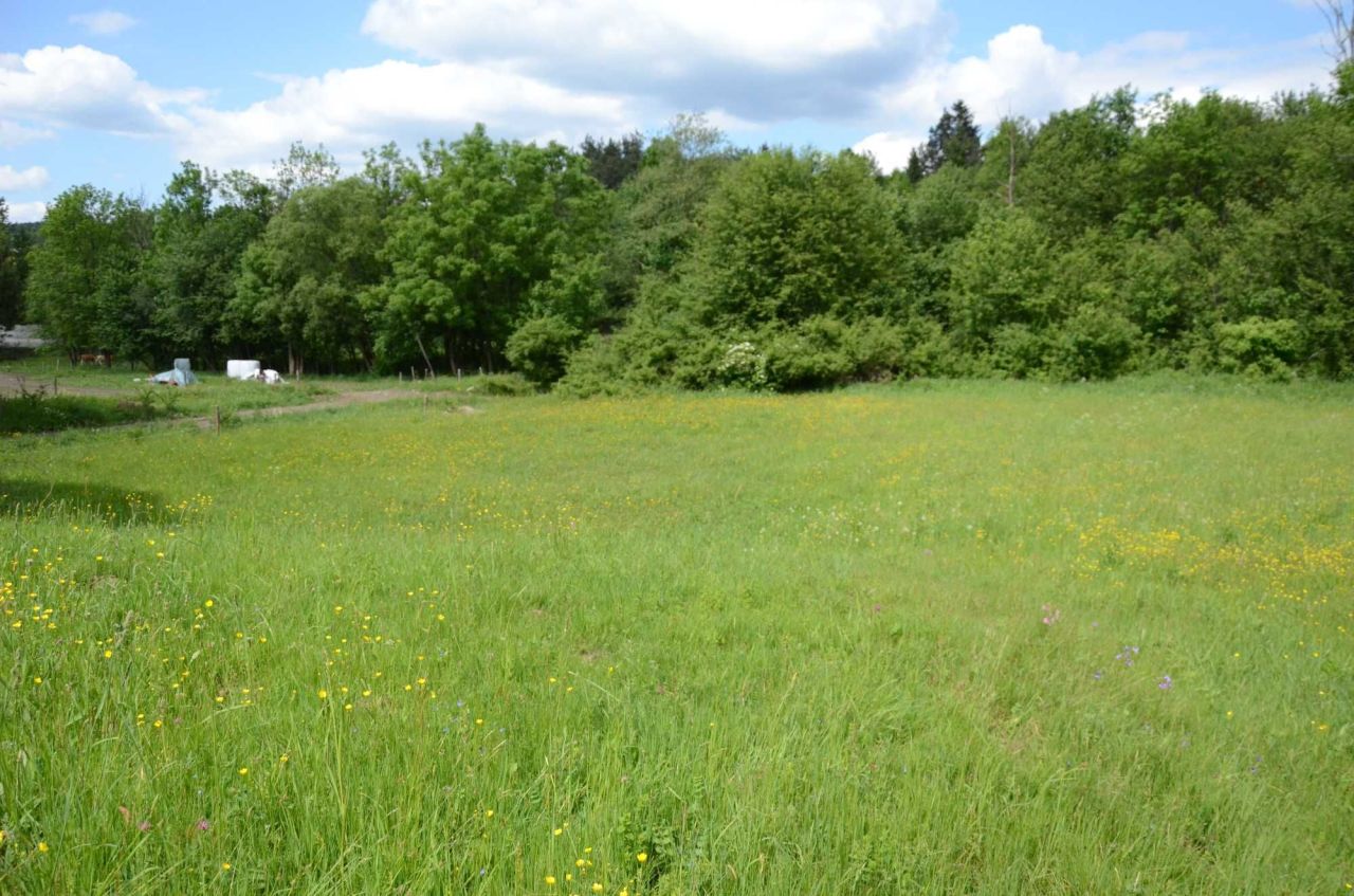 Działka budowlana Skwirtne. Zdjęcie 1