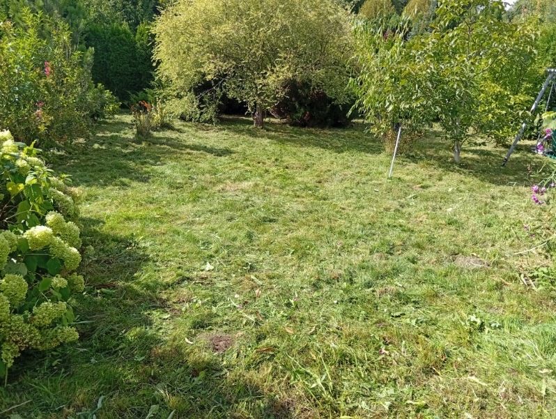 Działka rod Łódź Łagiewniki, ul. Przyklasztorze. Zdjęcie 8