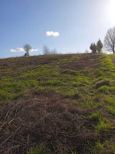 Działka rolna Płotowo. Zdjęcie 2