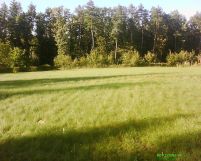 Działka rolno-budowlana Chmielnik. Zdjęcie 2