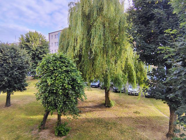 Mieszkanie 1-pokojowe Kalisz Kaliniec, ul. Serbinowska. Zdjęcie 8