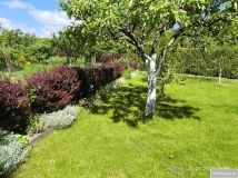 Działka rod Konin, ul. Staromorzysławska. Zdjęcie 1