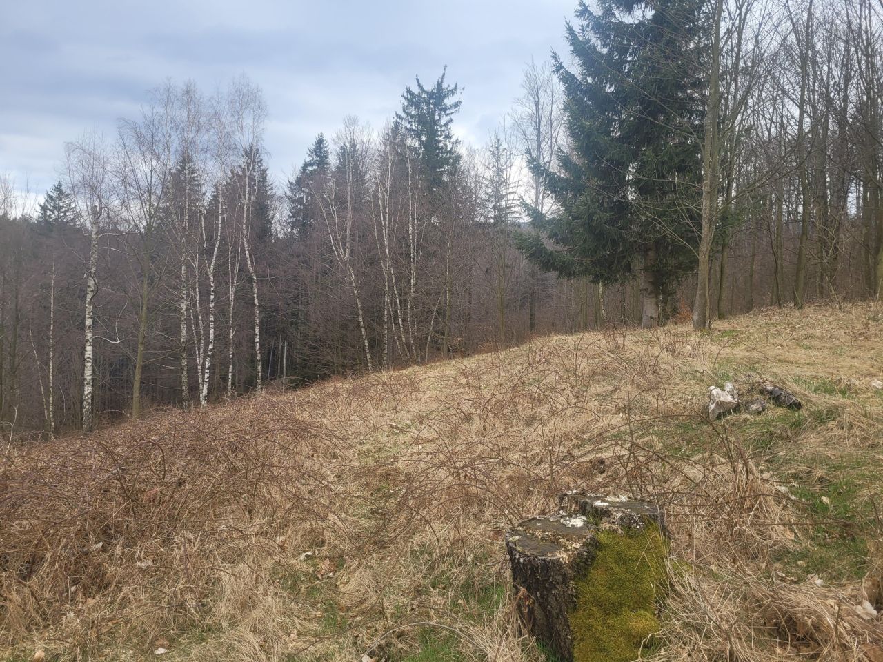 Działka budowlana Przesieka, ul. Kręta. Zdjęcie 3