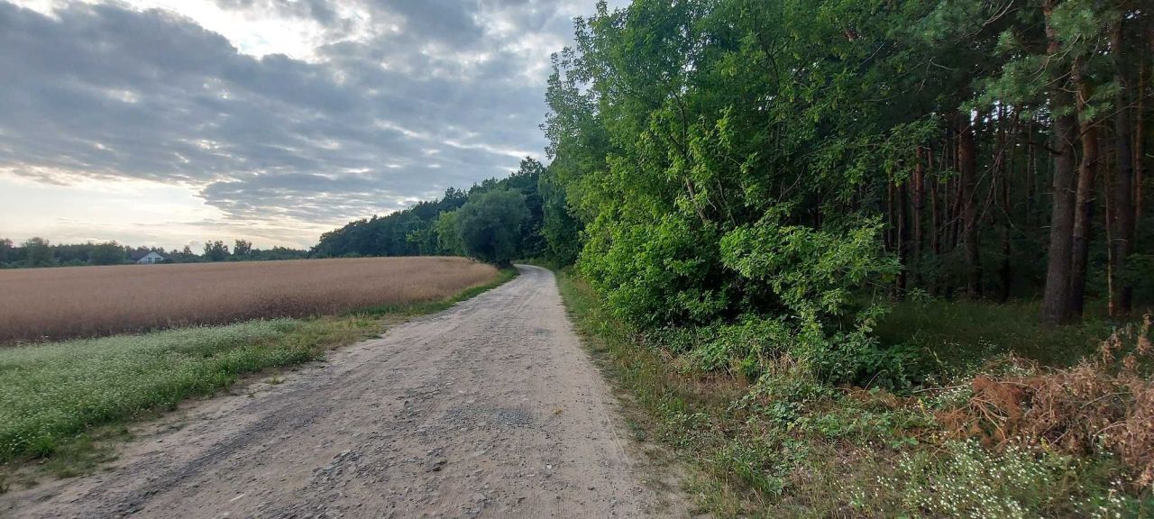 Działka leśna Dębówka. Zdjęcie 2