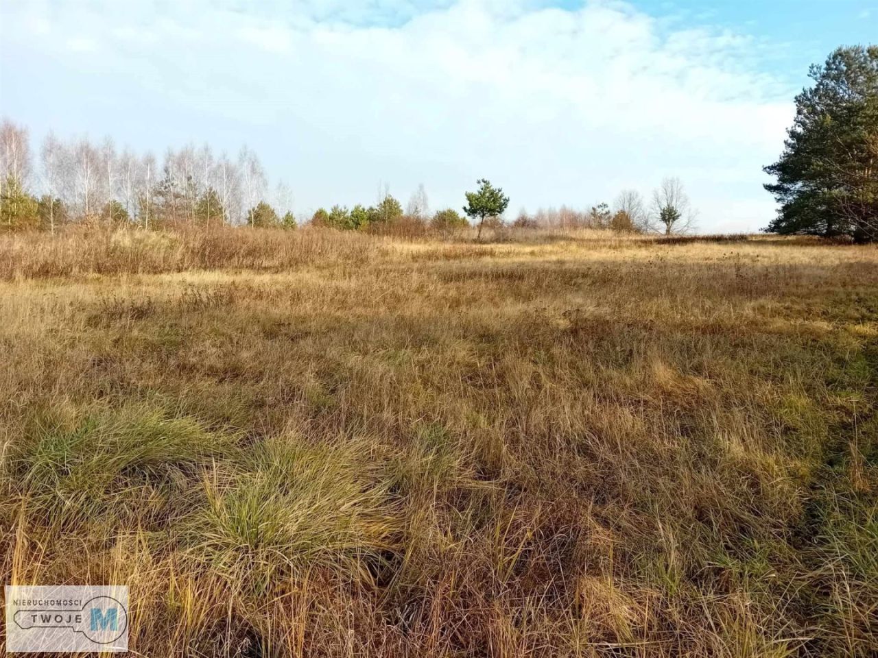 Działka inwestycyjna Daleszyce. Zdjęcie 12