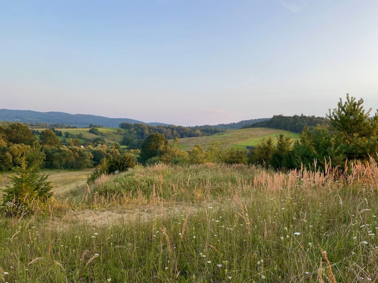 Działka rolno-budowlana Hoczew. Zdjęcie 3
