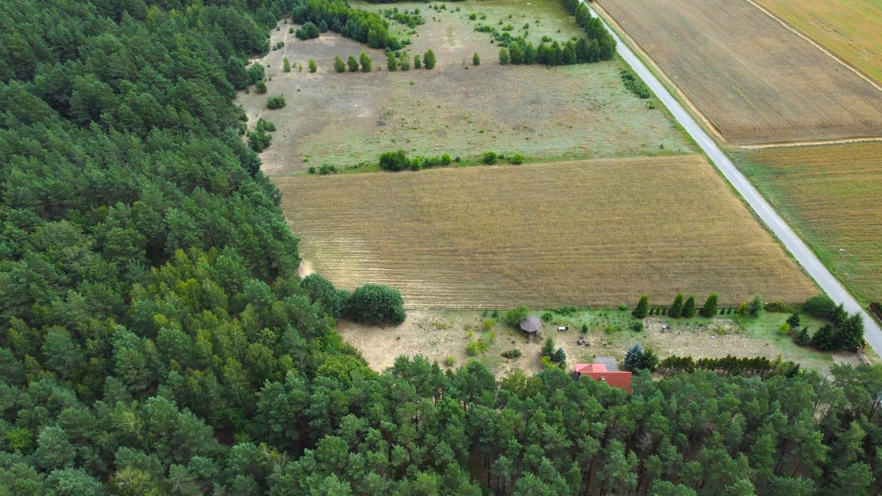 dom wolnostojący, 3 pokoje Modzele. Zdjęcie 8