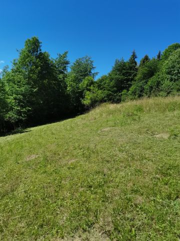 Działka rolno-budowlana Szczawnica Kunie, ul. Kunie. Zdjęcie 1