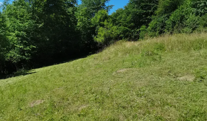 Działka rolno-budowlana Szczawnica Kunie, ul. Kunie