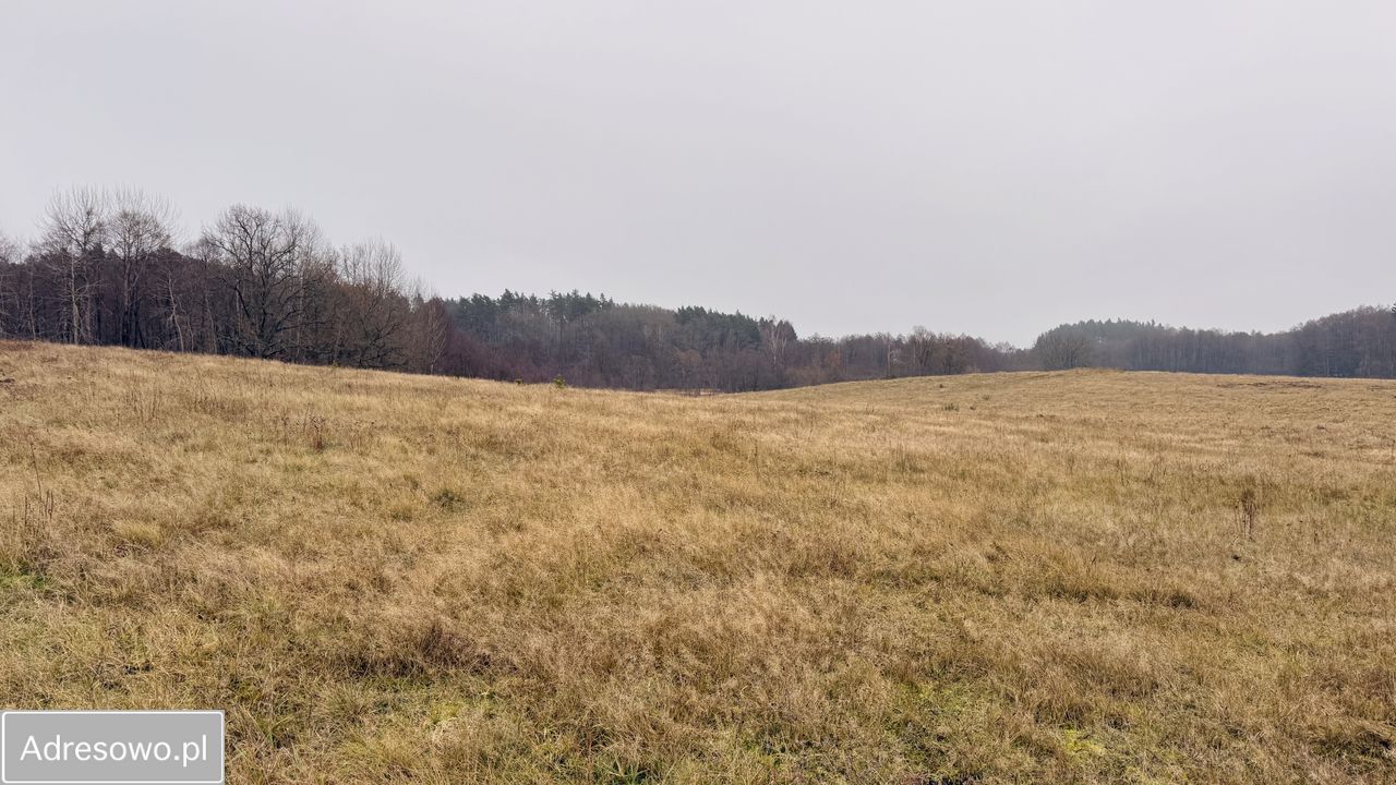 Działka rolna Przydargiń. Zdjęcie 3