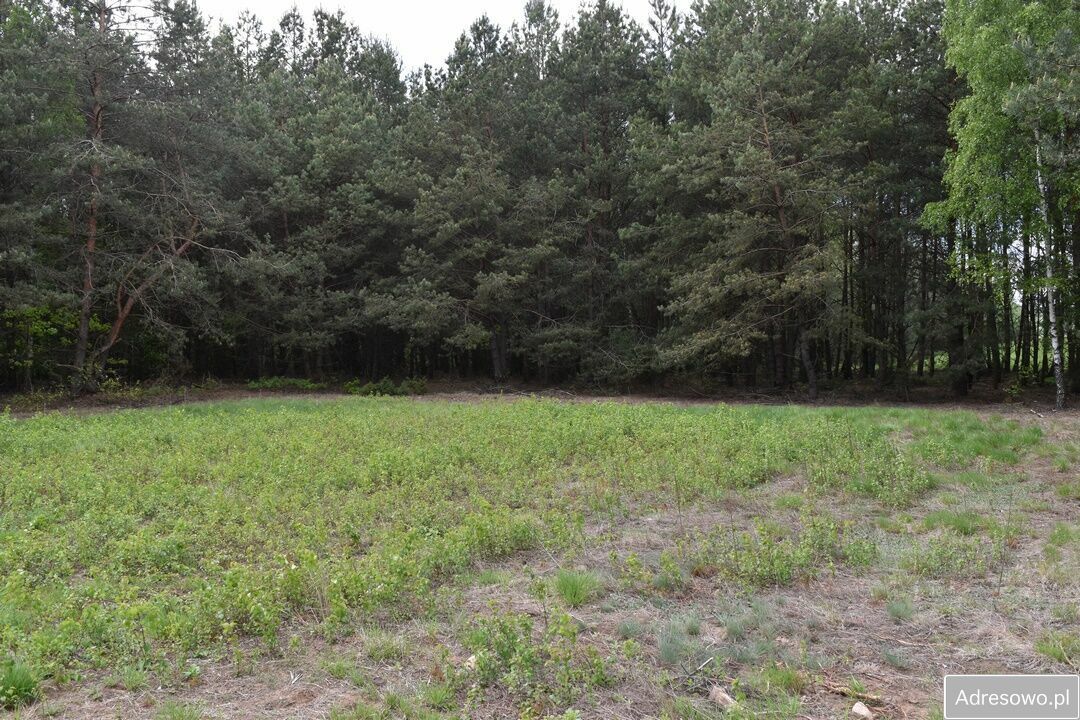 Działka rolna Pstrągi-Gniewoty. Zdjęcie 9