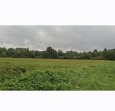 Działka budowlana Patryki. Zdjęcie 3