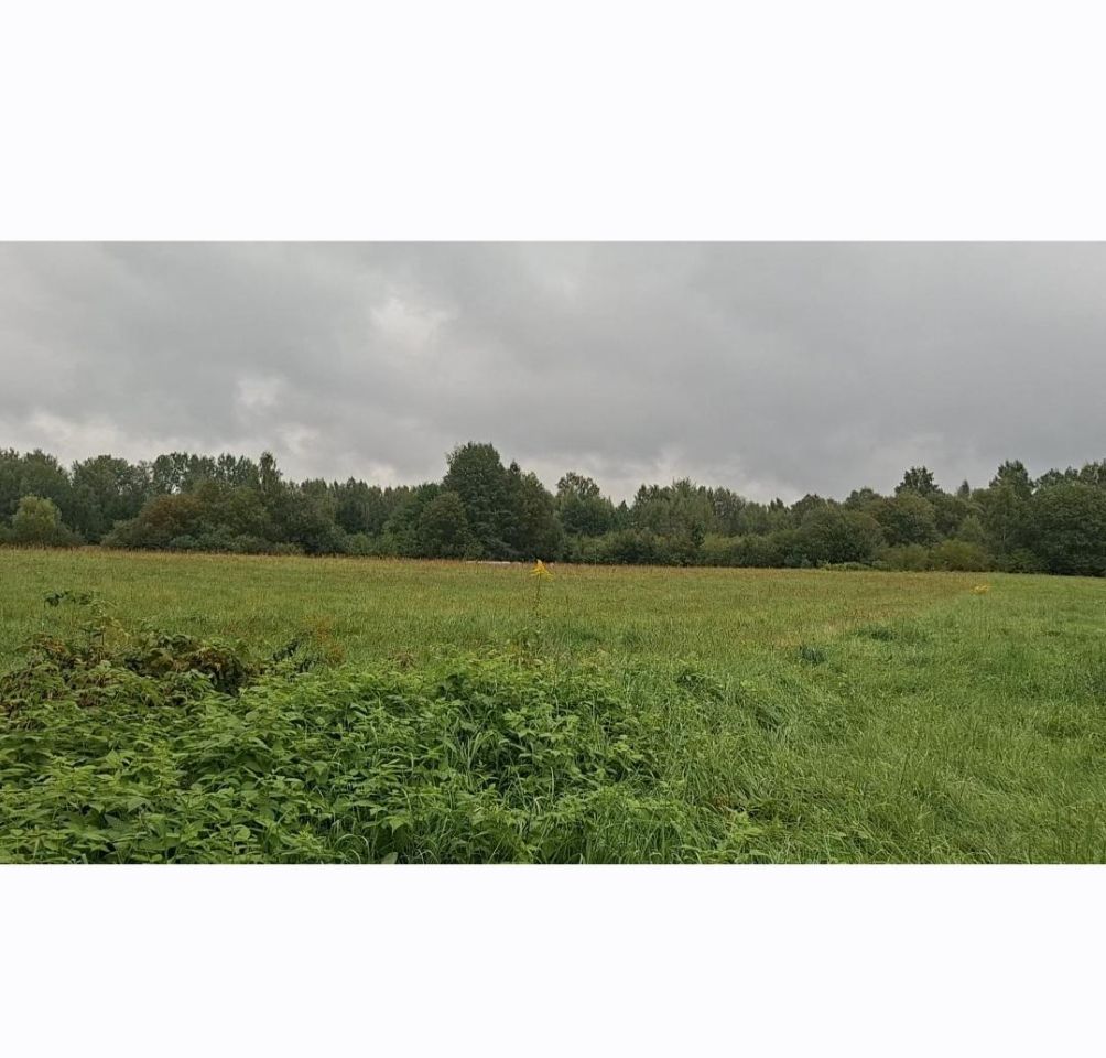 Działka budowlana Patryki. Zdjęcie 4