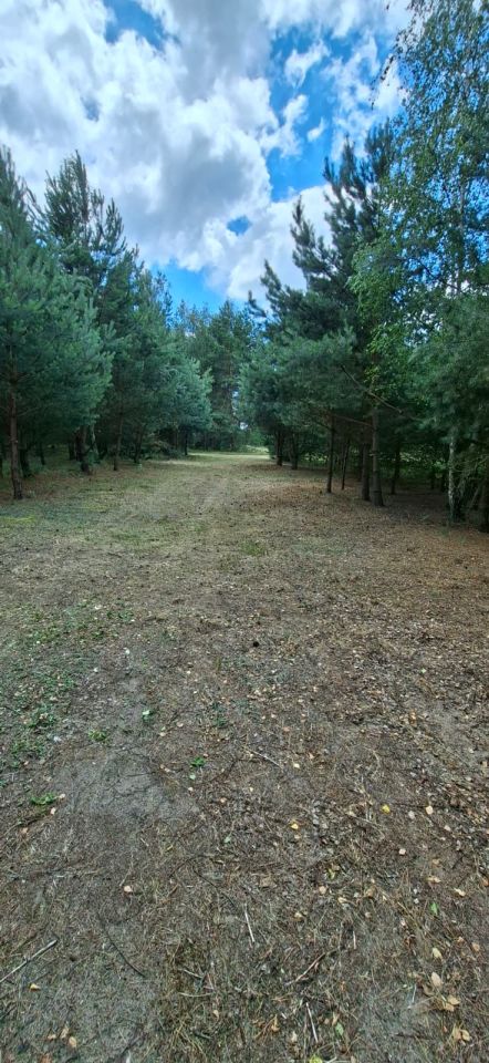 Działka rolno-budowlana Badulki Gęsia Niwa. Zdjęcie 6