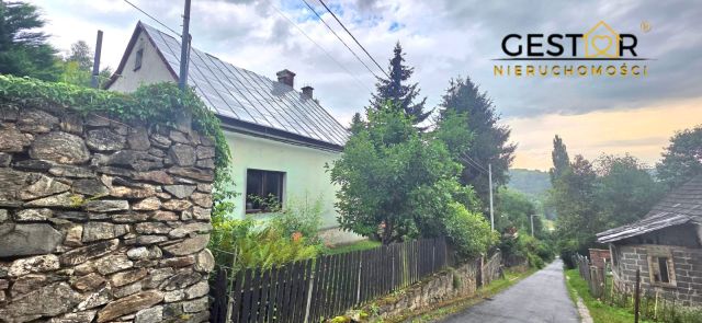 dom wolnostojący, 6 pokoi Pieszyce Lasocin, Lasocin. Zdjęcie 20