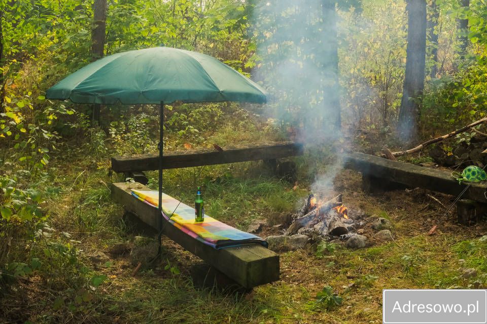 Działka siedliskowa Wyłudzin. Zdjęcie 5