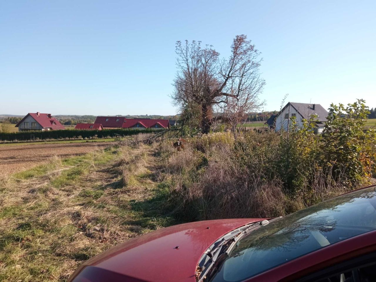 Działka rolna Minoga. Zdjęcie 6