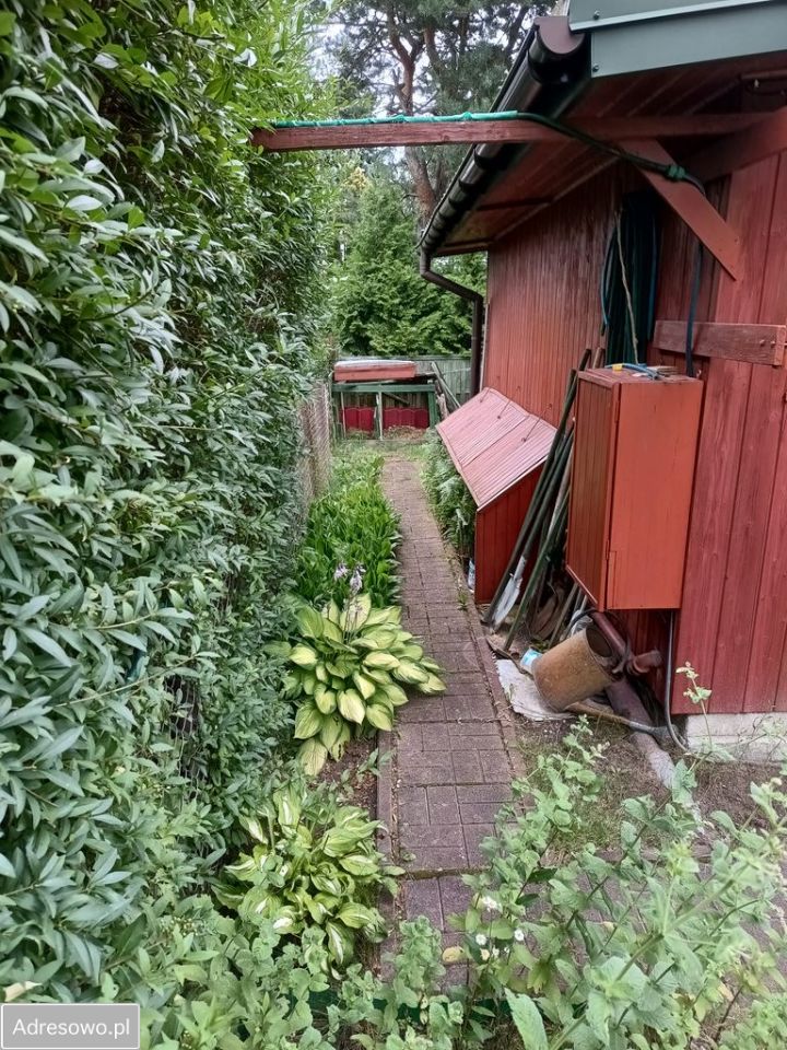 Działka rod Wola Mrokowska. Zdjęcie 4