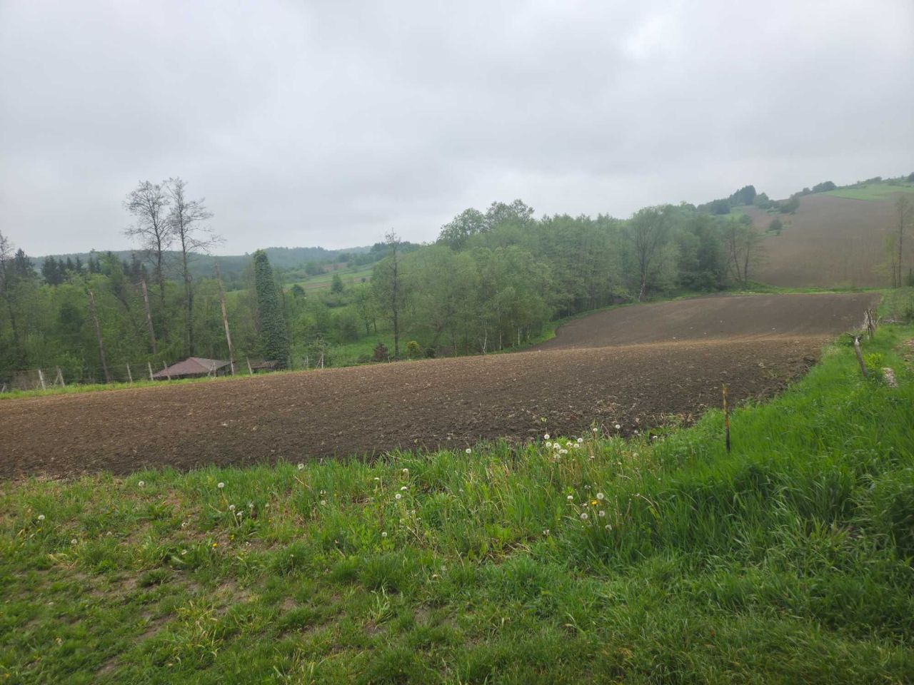 Działka budowlana Dynów. Zdjęcie 4