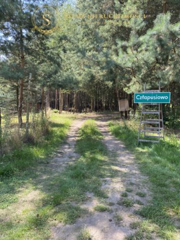 Działka budowlana Straszowice Żychlin. Zdjęcie 1