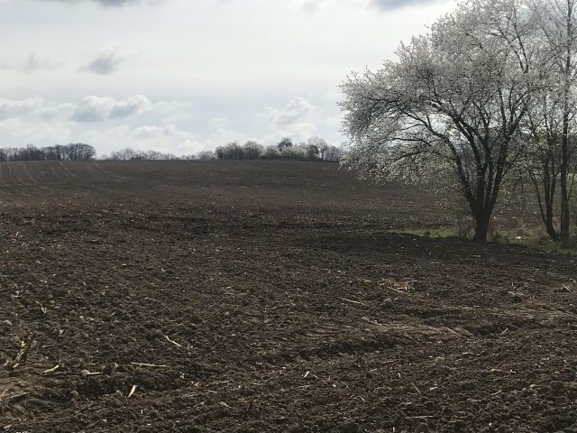 Działka siedliskowa Rogów Wołowski. Zdjęcie 14