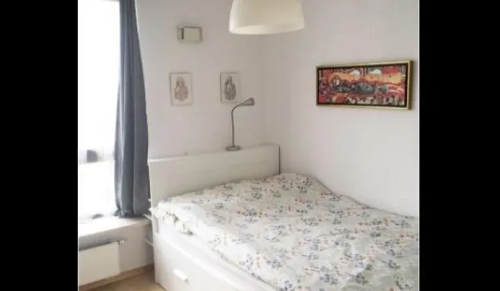 Mieszkanie 2-pokojowe Poznań Stare Miasto, ul. Kazimierza Wielkiego