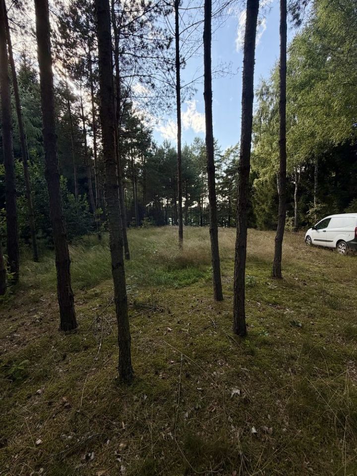 Działka rekreacyjna Borowy Młyn. Zdjęcie 8