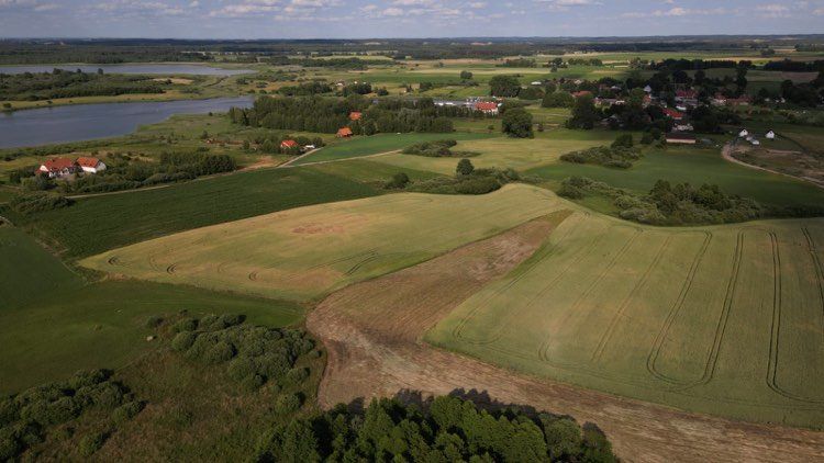 Działka rolna Górkło. Zdjęcie 5