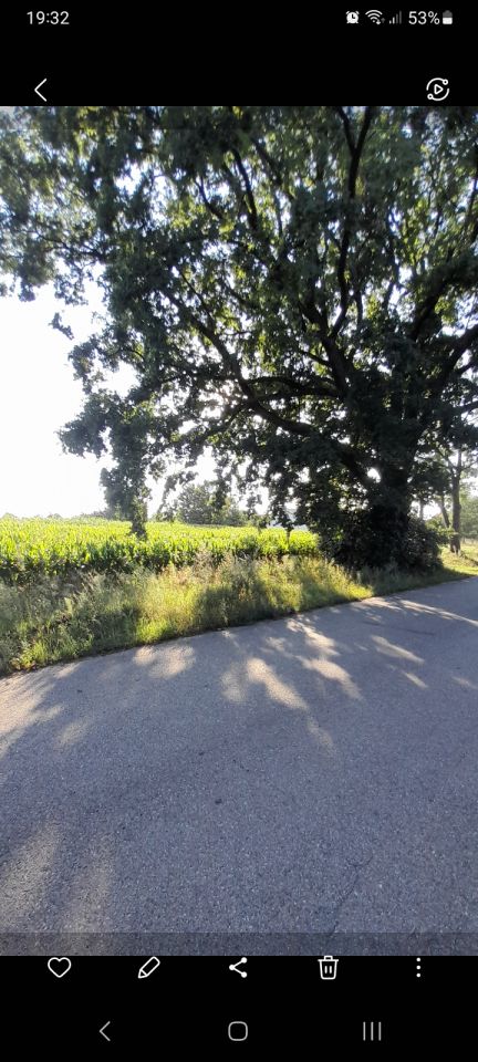 Działka budowlana Kępa. Zdjęcie 2